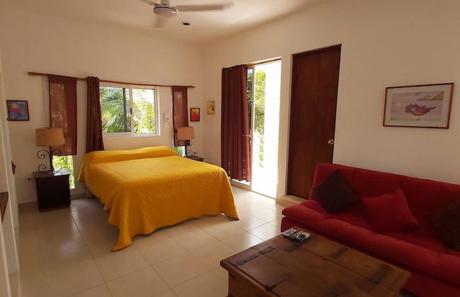 Mini Pini Birdwatching and Cenote Loft4 you Only - Foto 2