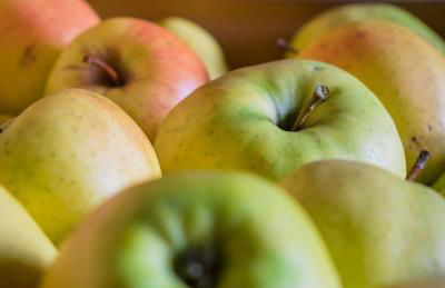 Häuslerhof - Photo 9