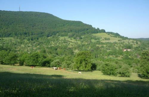 Ferienwohnungen Hubertus - Foto 11