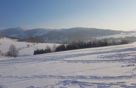 Agroturystyka Corno Owca - Foto 50