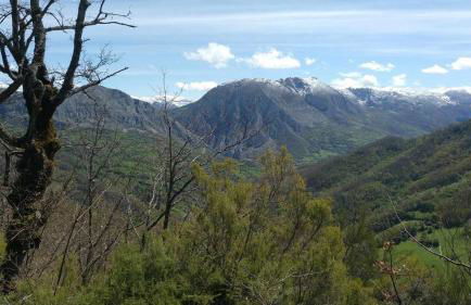 Apartamentos Valdecarzana Senda del Oso - Foto 20