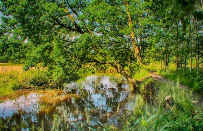 Cosy Holiday Home in Maarheeze With Verandah - Foto 55