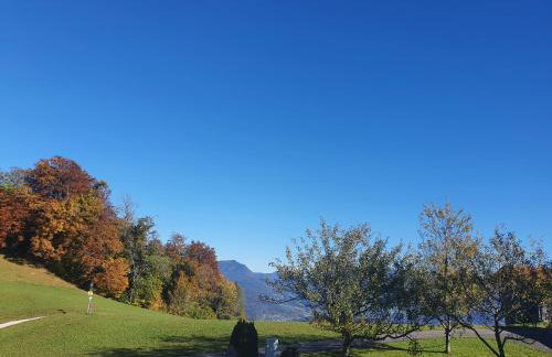 Ferienwohnungen Gästehaus Lärcheck - Foto 12