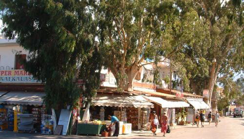 Glaros-Studio-14 - Foto 4