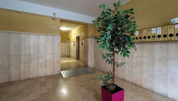 Entrada (vista interior)