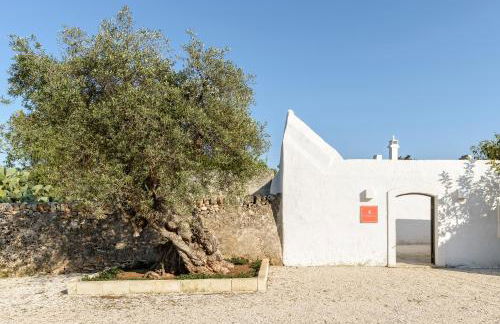 Masseria Stefanodelconte - Foto 52