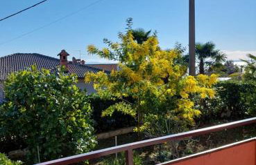 Apartment Rubin - Foto 10