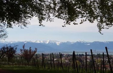 Alpenblick 3 - Foto 21