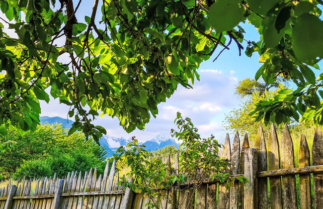 Maso Dolcevista - Foto 57