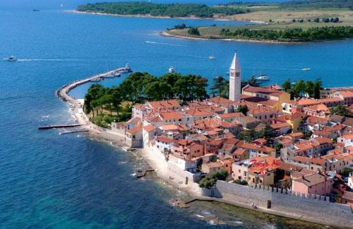 The Green house - 20m from the beach - Photo 33