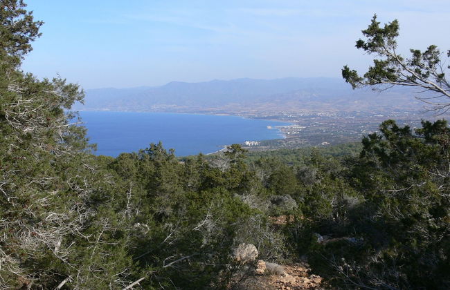 Tavros Hotel Apartments - Foto 31