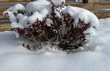 Villa Međimurka - Foto 28