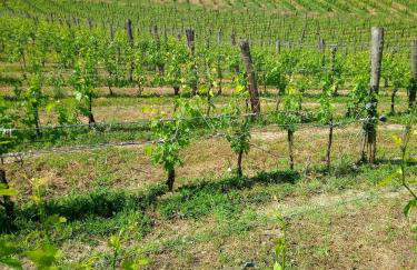 Agriturismo Rosetta - Foto 32