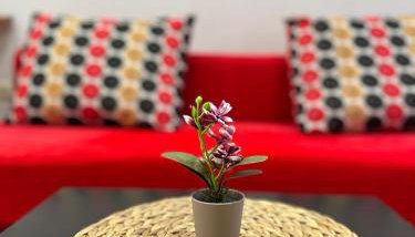 Studio One - Photo 2