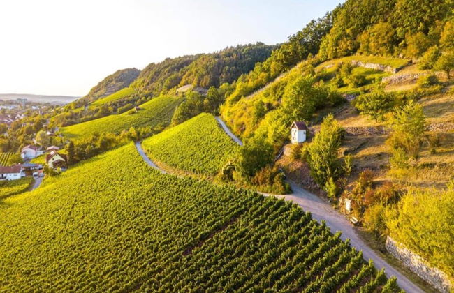 Wohnung mit Terrasse in Zeil am Main - Foto 23