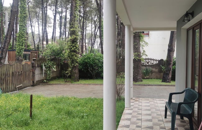 House by the sea Kaprovani Shekvetili Batumi - Photo 30