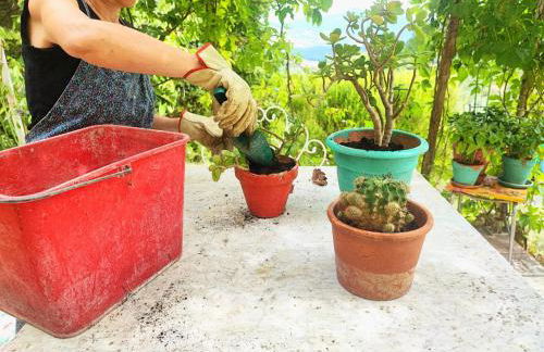 La Casa di Cesarina - Foto 48