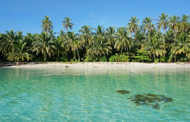 Zapatilla Island & Coral Cay Boat Tour - Foto 3