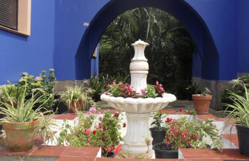 Complejo rural Alhelí - Apartamentos y habitaciones - Foto 11