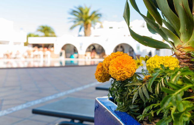 Las Adelfas - Foto 72