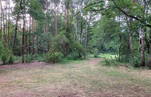 Dom z linią brzegową Narwi 3 - Photo 31