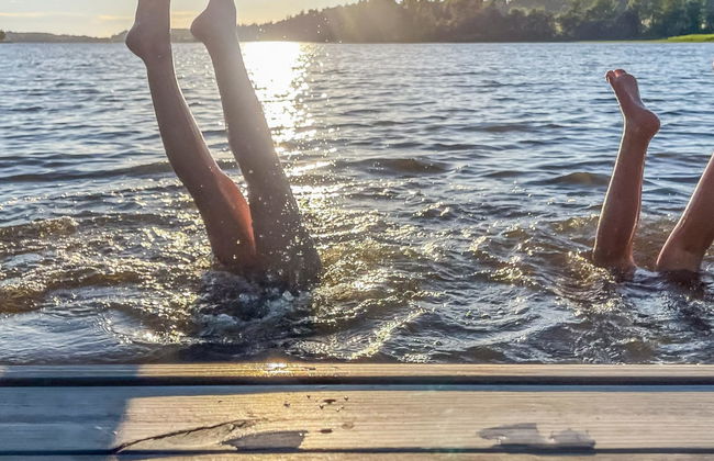 Punatulkku - Foto 44