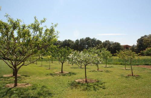 Masía Rural Can Poch - Foto 37