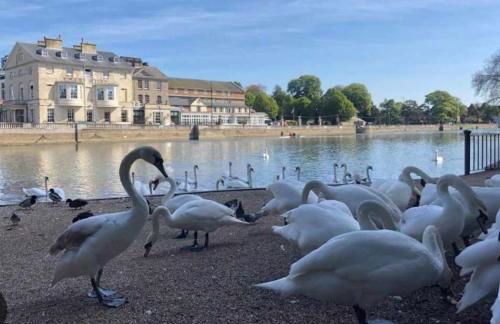 Luxury ApArt Gallery Apartment 1 Near River & Free Parking - Foto 39