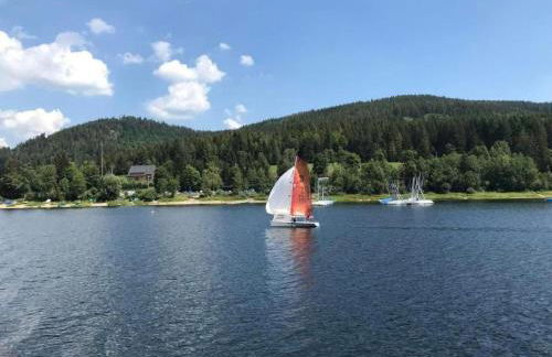 Holiday Home Schluchseehuus by Interhome - Foto 14