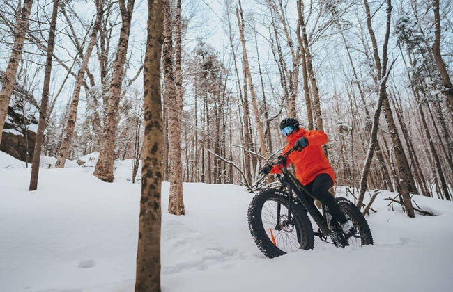 Le Coup de Coeur du Lac Sup Rieur Citq 313677 - Foto 67