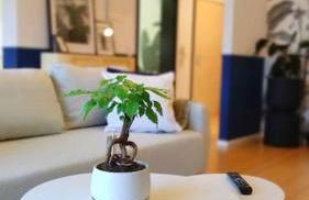 Rooftop Apartment in Kehl Nähe Straßburg & Europaparlament - Foto 17