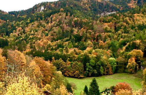 Appartment Schloss-Zeit - Foto 31