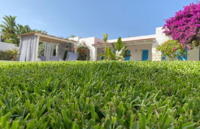 Antichi Mulini - Photo 53