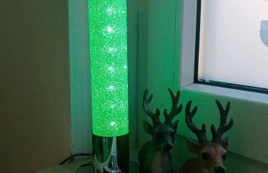 Ferienzimmer Waldzauber - Foto 16