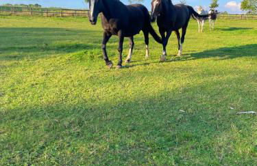Mulberry House Farm The Garden Room - Foto 28