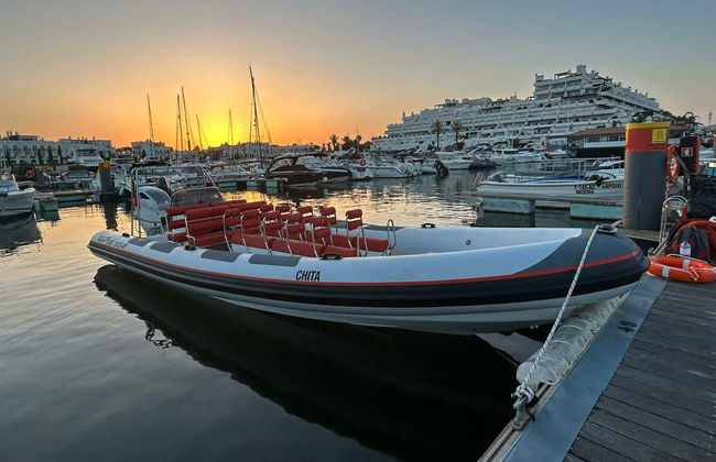 Avistamiento de delfines en Vilamoura - Foto 2
