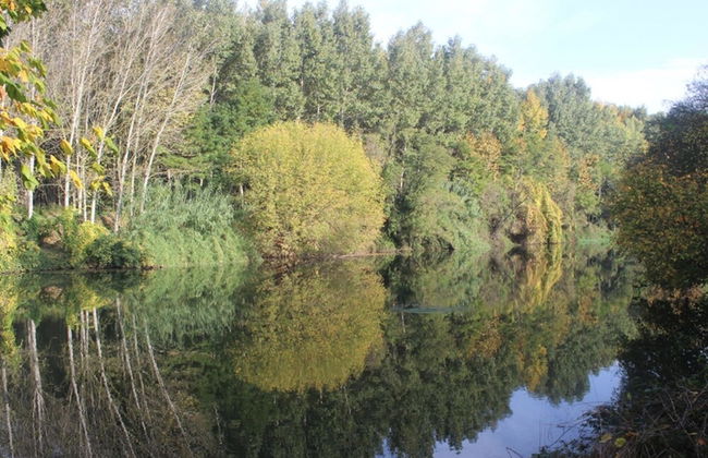 Modern Mansion in Bordils With Swimming Pool - Foto 30