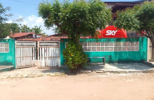 Flor de cacto - Foto 21