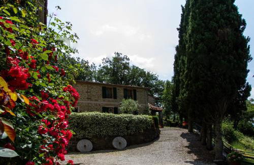Alloggio Villa Manini - Foto 15