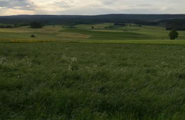 Ferienwohnung Hasenfratz - Foto 40