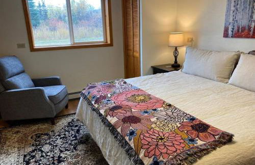 Northern Lights from Hot Tub, Denali National Park - Photo 15