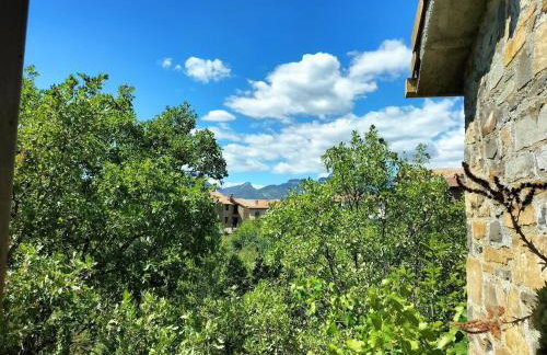 El Cajigar Ordesa Aínsa - Photo 26