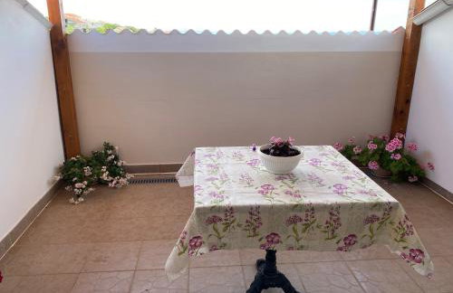 Apartments by the sea Lun, Pag - 11781 - Photo 25