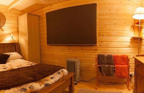 Family friendly sunny Log Cabin - Photo 21