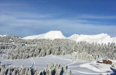 Avoriaz le M1212 - Photo 37