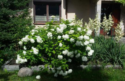 Apartament Leśna - Foto 24