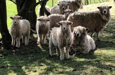 Cosy Lincs Wolds Cottage in Picturesque Tealby - Foto 36