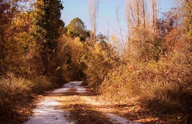 El Horno de Leopoldo - Photo 45