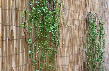 MON ART - Piso turístico en el centro de Logroño - ESTACIÓN DE TREN LOGROÑO - Foto 23