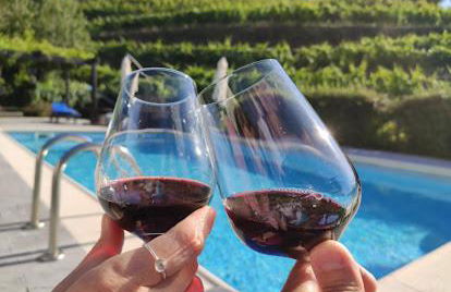 Quinta da Casa Cimeira, Guest House, Wines & Food - Foto 20